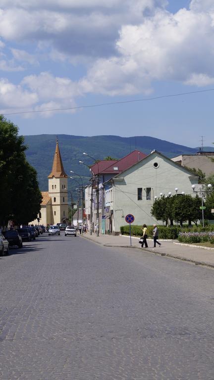 Villa Svalyavа Svalyava Exterior foto